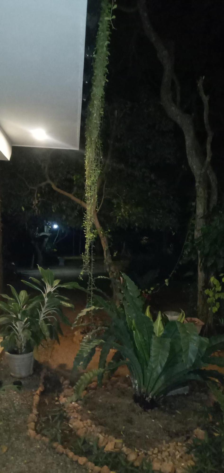 Sudunelum Holiday Resort Anuradhapura Exterior photo