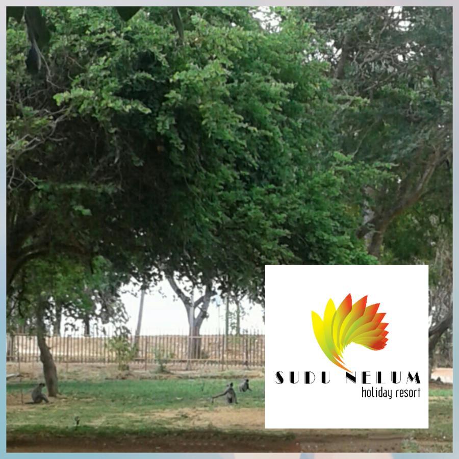 Sudunelum Holiday Resort Anuradhapura Exterior photo